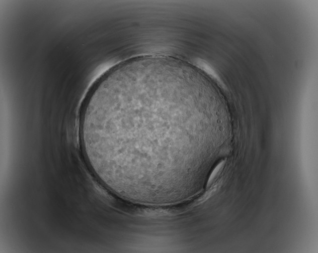 X0000086791079200705041543