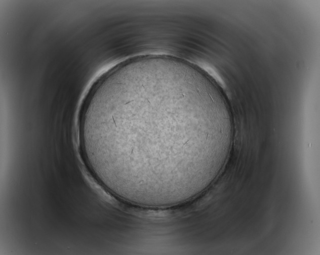 X0000086791080200705041543