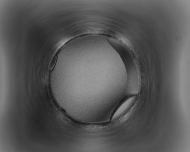 X0000086791081200705041543