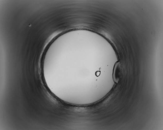 X0000086791082200705041543