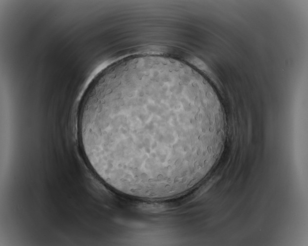 X0000086791083200705041543