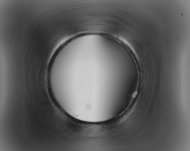 X0000086791085200705041543