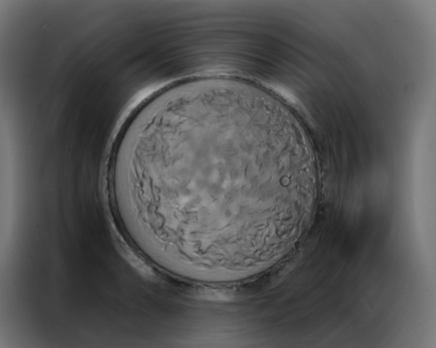 X0000086791086200705041543