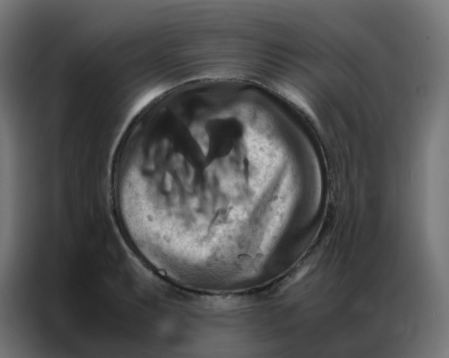 X0000086791087200705041543