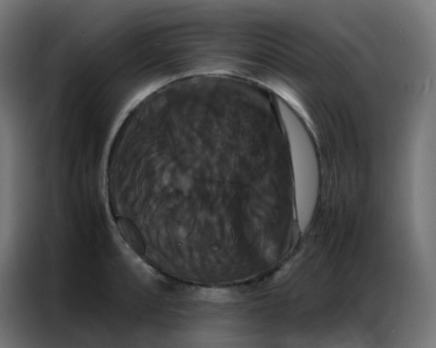 X0000086791088200705041543