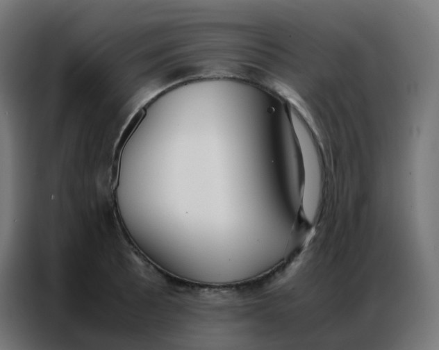 X0000086791089200705041543