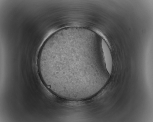 X0000086791091200705041543