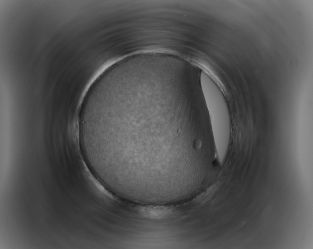 X0000086791092200705041543