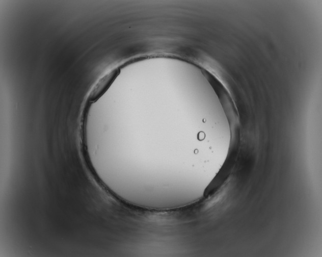 X0000086791093200705041543