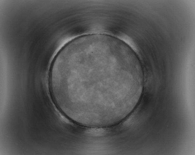 X0000086791094200705041543