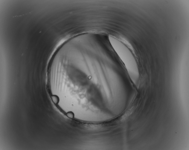 X0000086791095200705041543