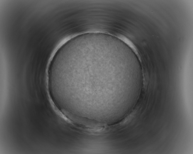 X0000086791096200705041543