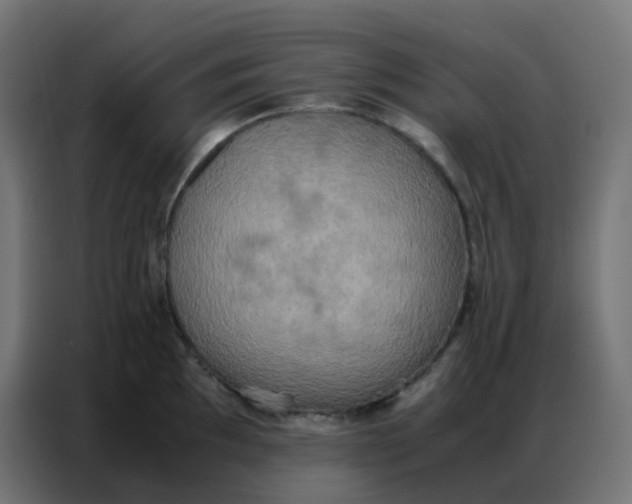 X0000086791097200705041543