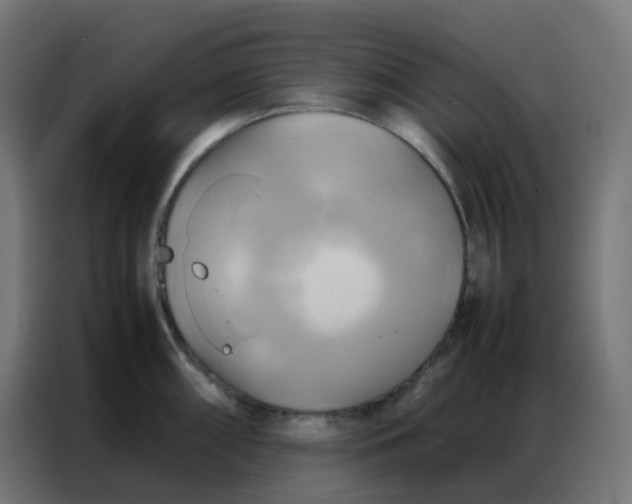 X0000086791098200705041543