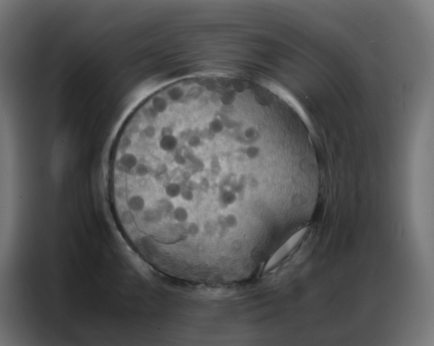 X0000086791099200705041543