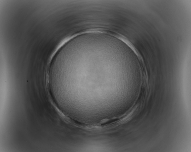 X0000086791101200705041543