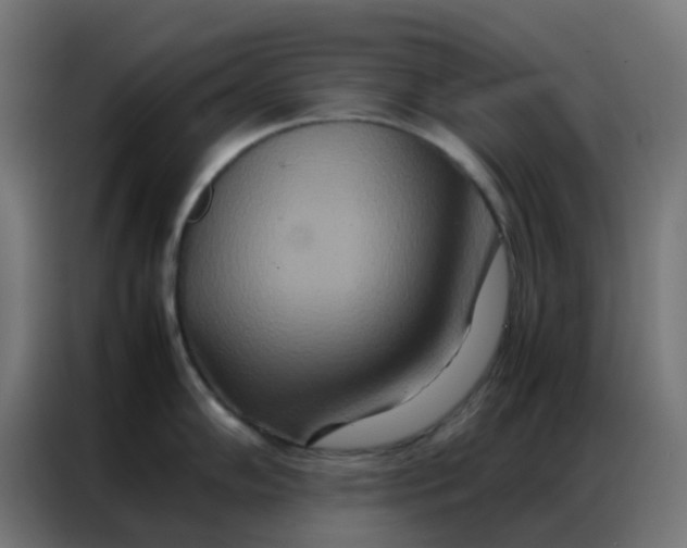 X0000086791102200705041543