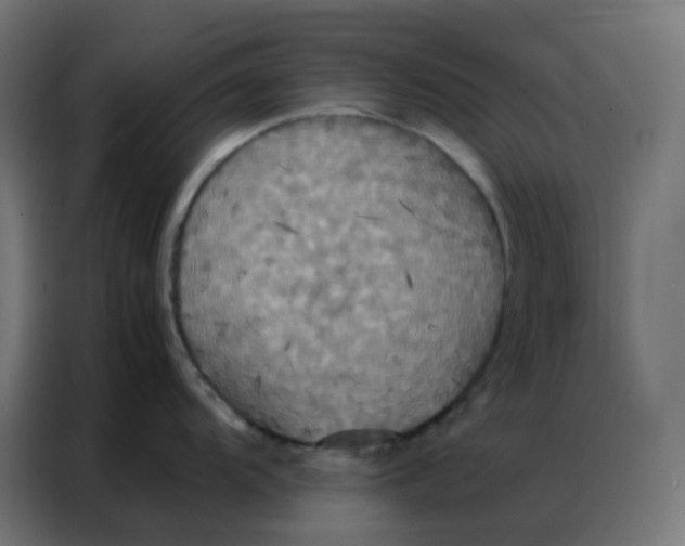 X0000086791104200705041543