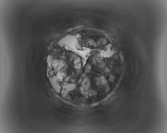 X0000086791105200705041542