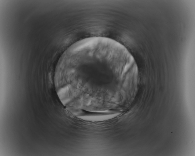 X0000086791106200705041542