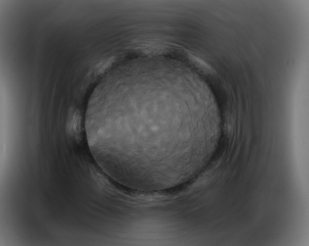 X0000086791108200705041542