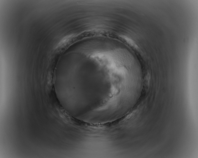 X0000086791110200705041542