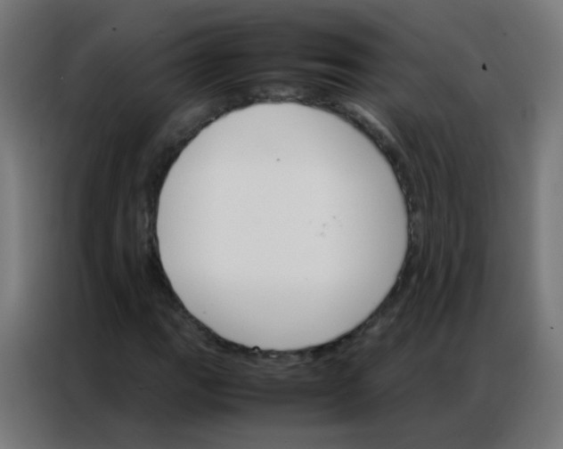 X0000086791111200705041542