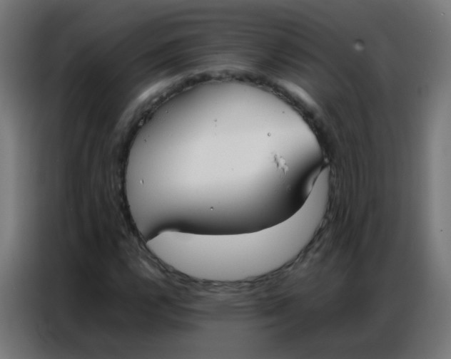 X0000086791112200705041542