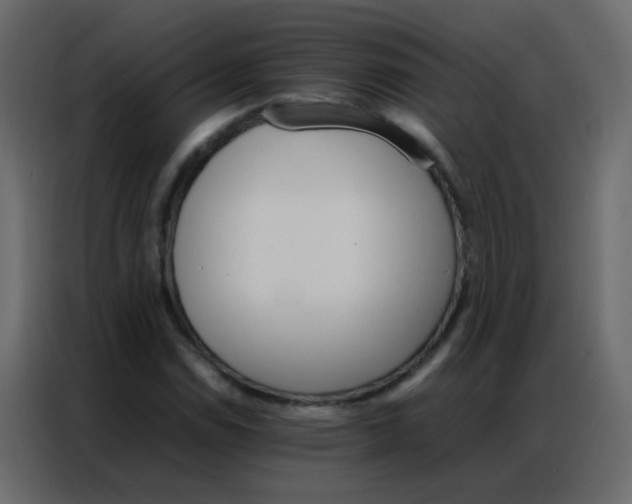 X0000086791114200705041542