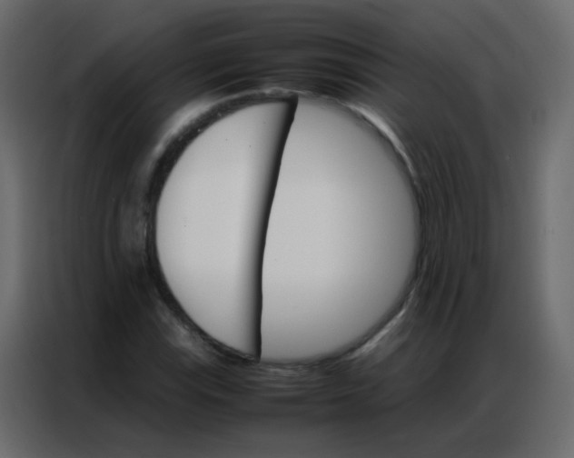 X0000086791115200705041542