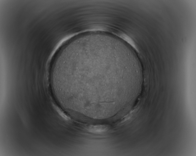 X0000086791116200705041542