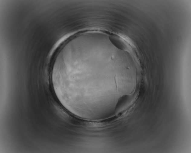 X0000086791120200705041543