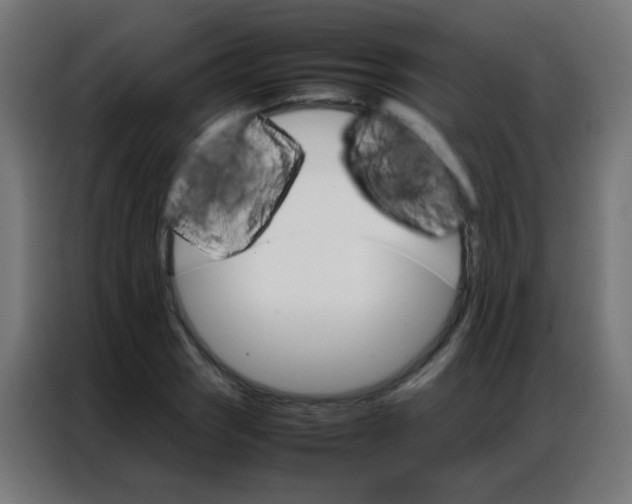 X0000086791121200705041543