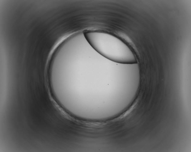 X0000086791122200705041543