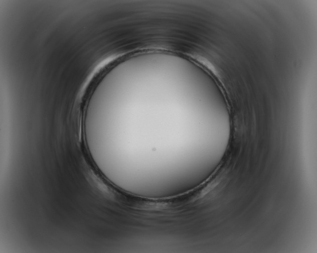 X0000086791123200705041543