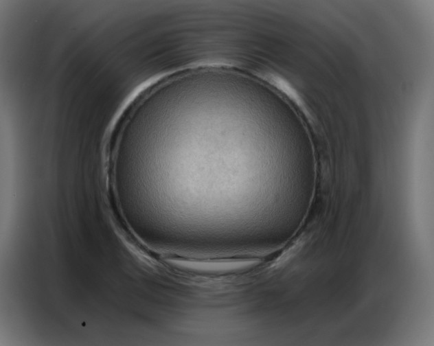 X0000086791124200705041543