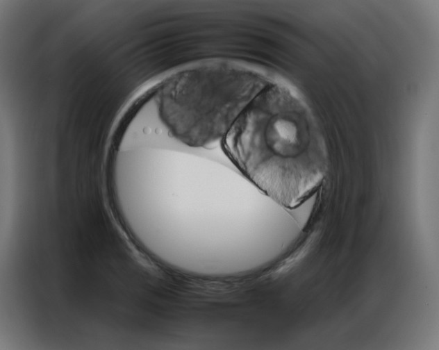 X0000086791125200705041543