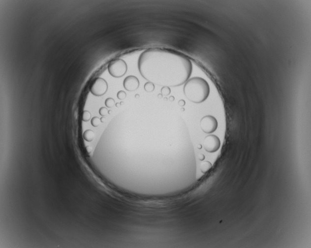 X0000086791126200705041543