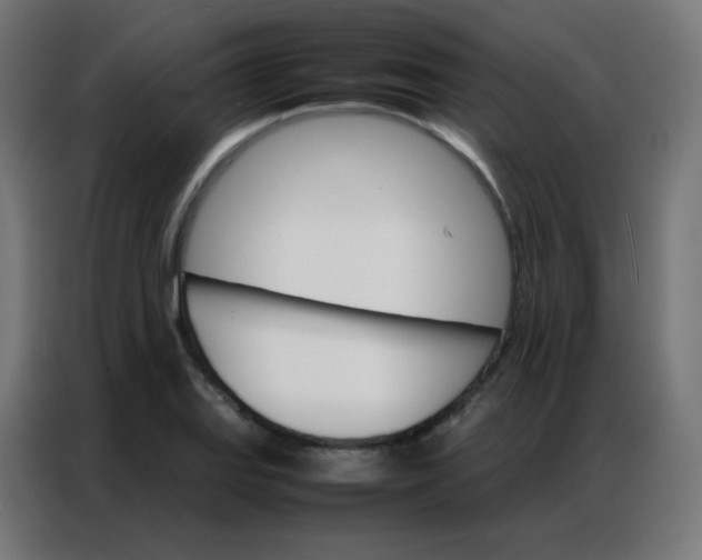 X0000086791127200705041543