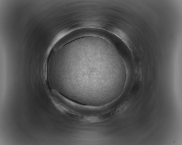 X0000086791128200705041543