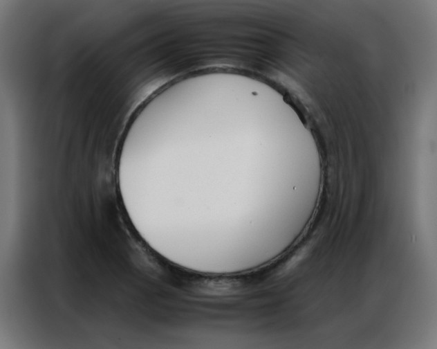 X0000086791129200705041543