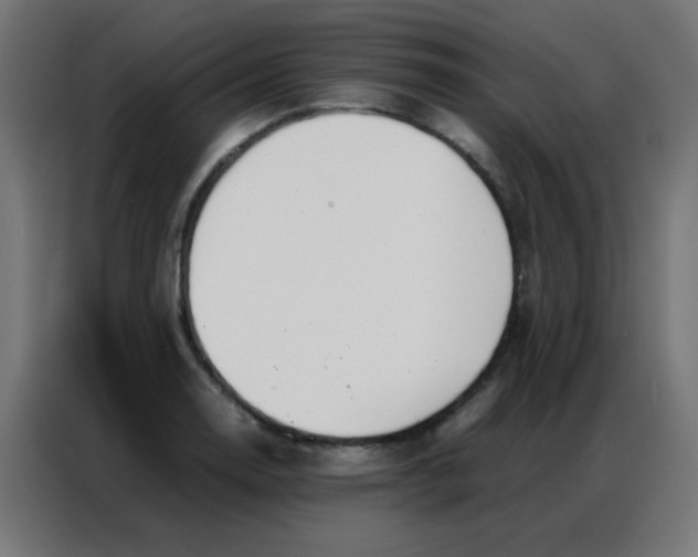 X0000086791130200705041543