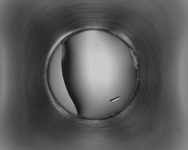 X0000086791132200705041543