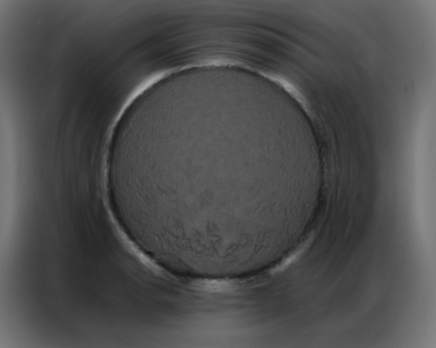 X0000086791134200705041543