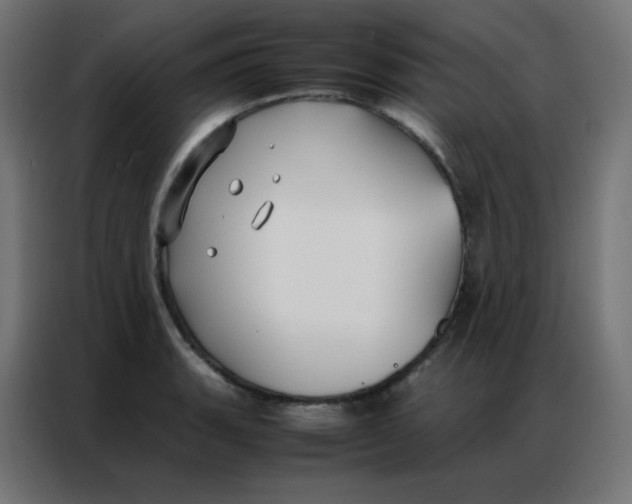 X0000086791135200705041543