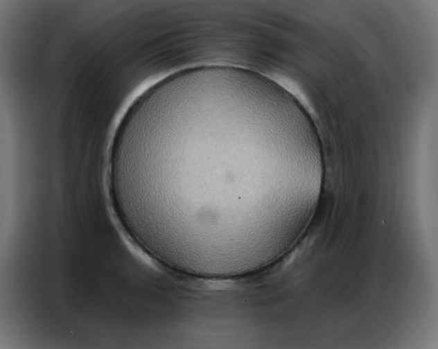 X0000086791136200705041543