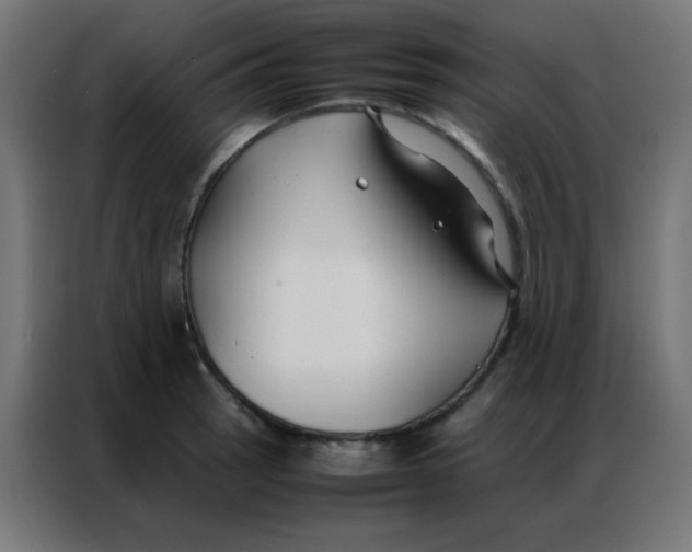 X0000086791137200705041543