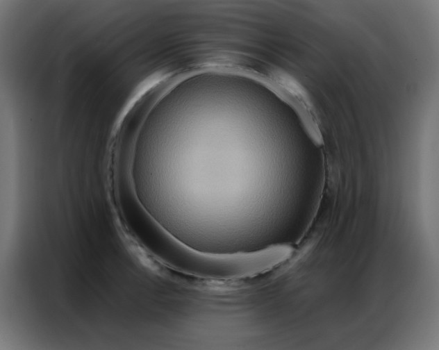 X0000086791138200705041543