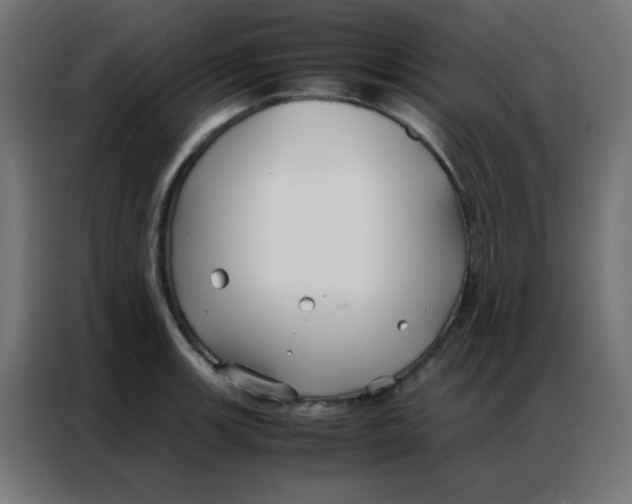 X0000086791139200705041543