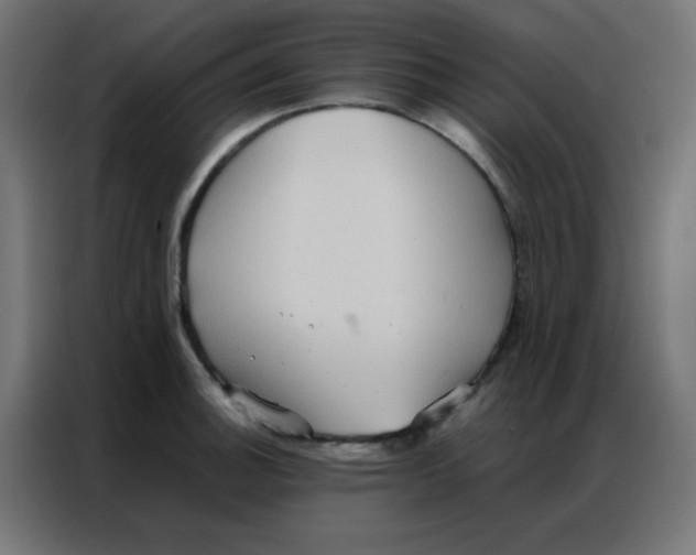 X0000086791140200705041543